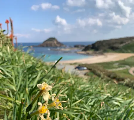 爪木崎の写真・動画_image_343964