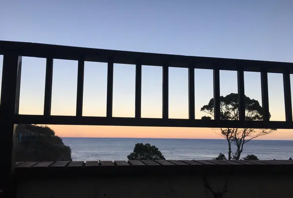 アカオハーブ＆ローズガーデンの写真・動画_image_343974