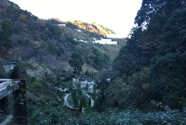 アカオハーブ＆ローズガーデンの写真・動画_image_343975