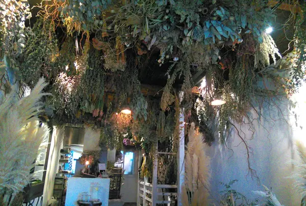 Cachette北白川店（カシェット）の写真・動画_image_344116