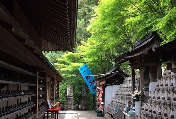 一願大師の写真・動画_image_344324