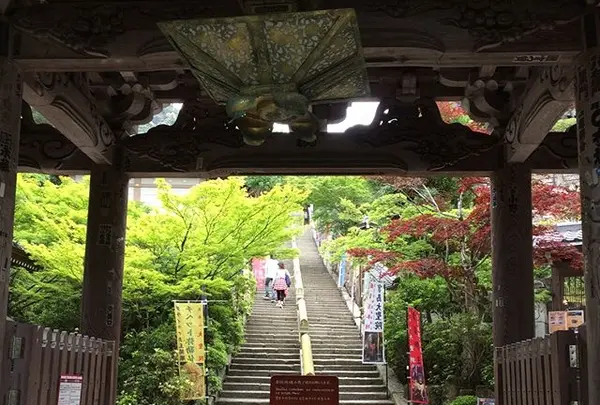 大聖院の写真・動画_image_344328