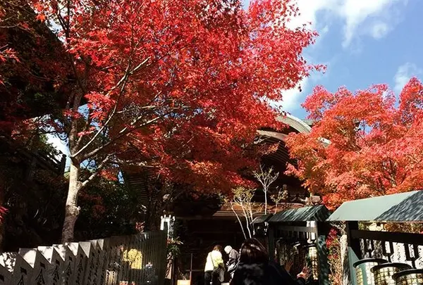 大聖院の写真・動画_image_344329