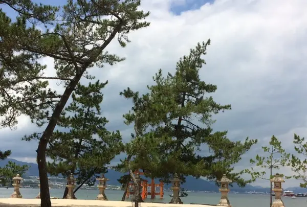 てんぷら津久根島 宮島店の写真・動画_image_344378
