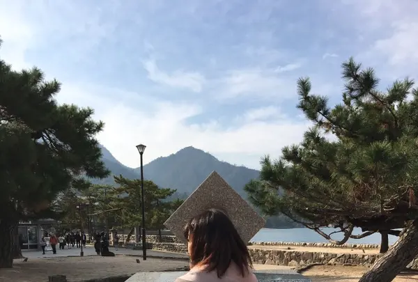 世界遺産碑の写真・動画_image_344418