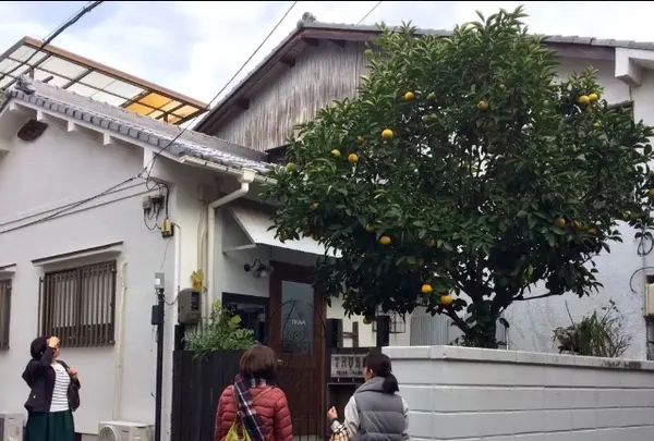 TRUNKの写真・動画_image_344423