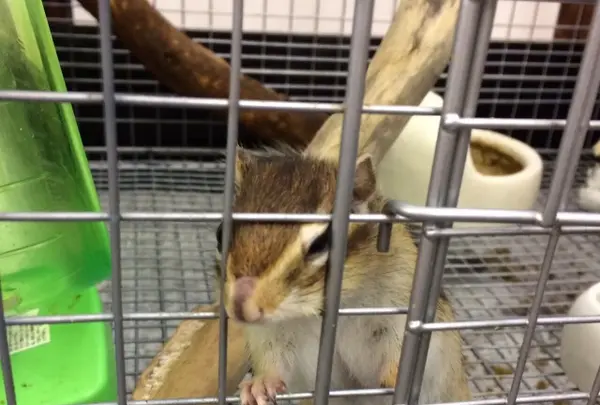 ミヤトヨ 本店の写真・動画_image_344433