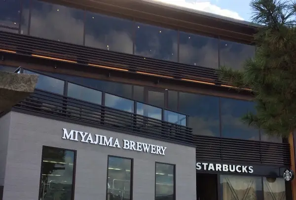 スターバックスコーヒー 厳島表参道店の写真・動画_image_344456
