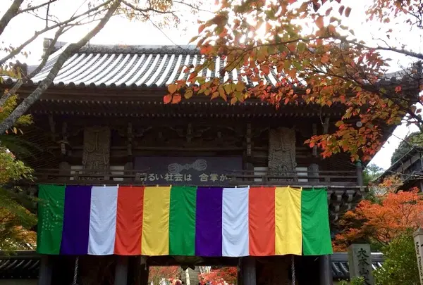 大聖院の写真・動画_image_344458