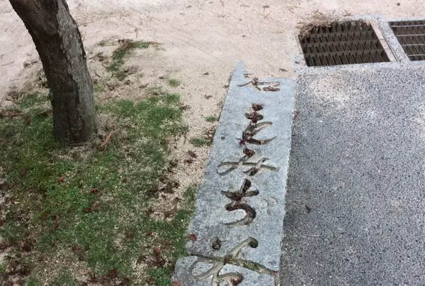 玉氷の写真・動画_image_344464