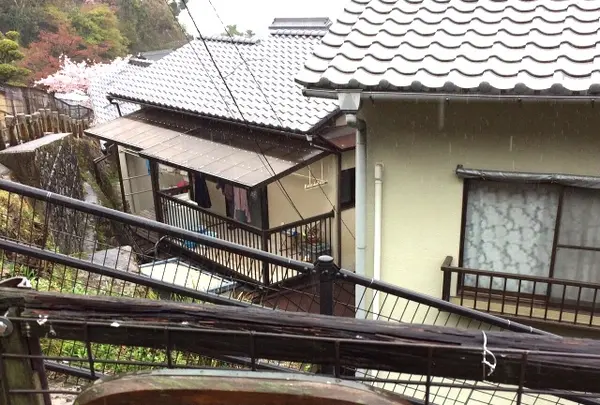 山辺の古径の写真・動画_image_344488