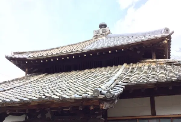 山辺の古径の写真・動画_image_344494