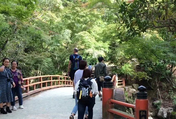 久久能智の聖木の写真・動画_image_344544