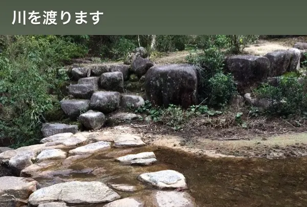 久久能智の聖木の写真・動画_image_344548