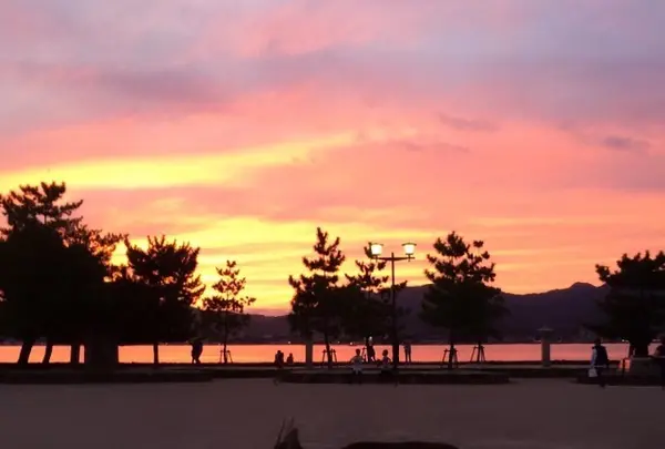 世界遺産碑の写真・動画_image_344555