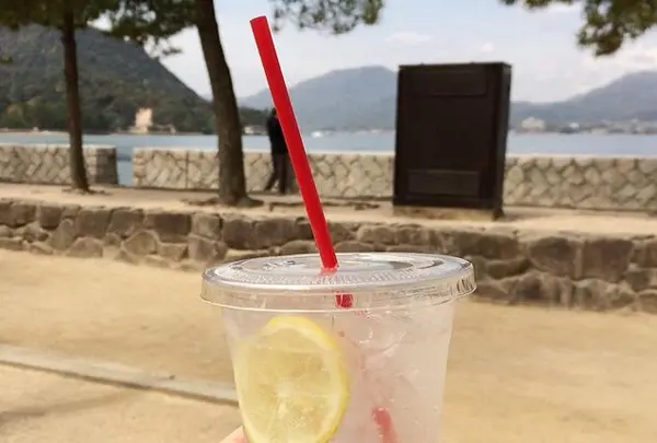 Miyajima Grilled Oysters (Parrilla Ostras)の写真・動画_image_344577