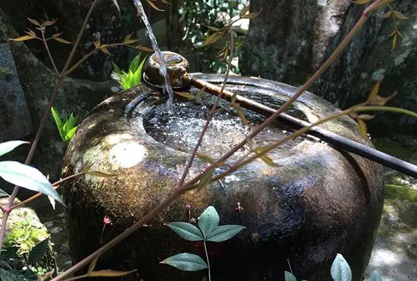 大聖院の写真・動画_image_344578
