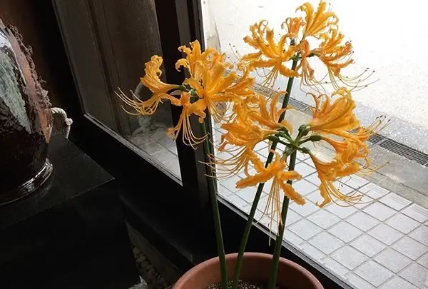 ミヤトヨ 本店の写真・動画_image_344579