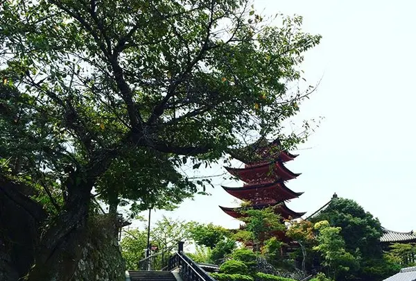 牡蠣祝の写真・動画_image_344582