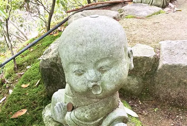 大聖院の写真・動画_image_344586