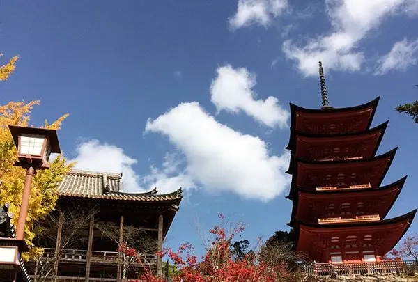 豊国神社（千畳閣）の写真・動画_image_344605