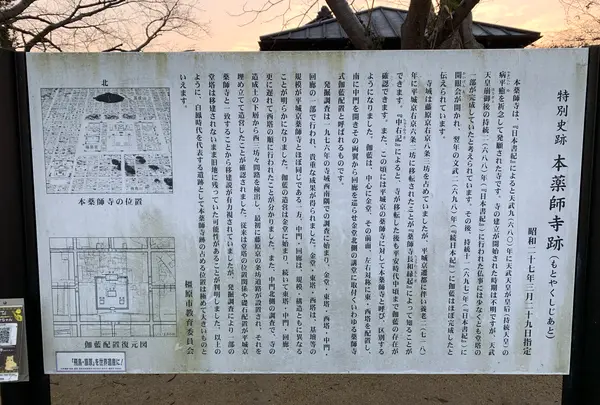 本薬師寺跡　ホテイアオイの写真・動画_image_345076