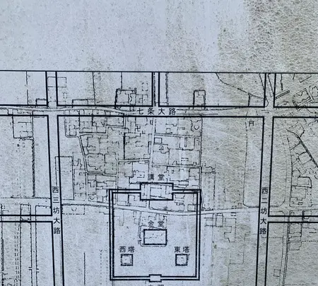 本薬師寺跡　ホテイアオイの写真・動画_image_345079
