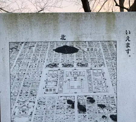 本薬師寺跡　ホテイアオイの写真・動画_image_345080