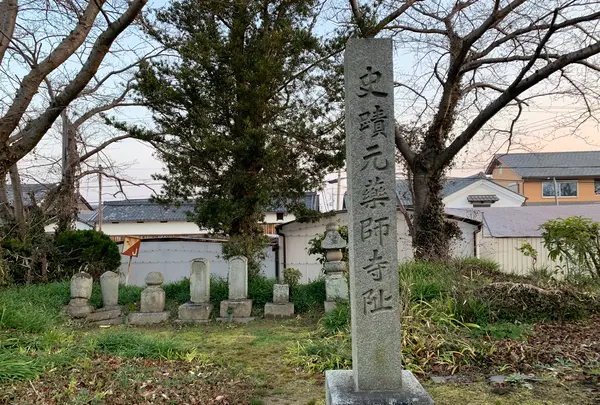 本薬師寺跡　ホテイアオイの写真・動画_image_345082