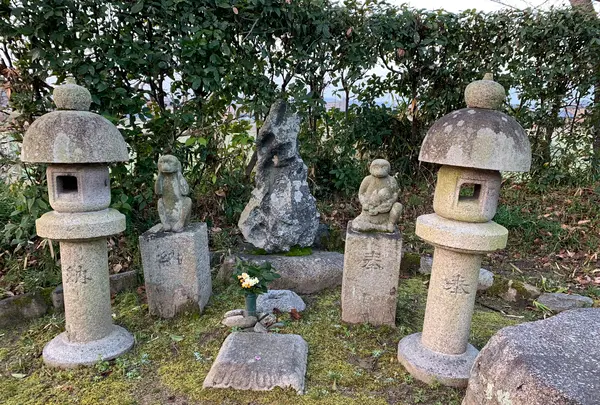 本薬師寺跡　ホテイアオイの写真・動画_image_345083