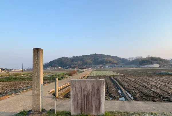 大官大寺跡の写真・動画_image_345090