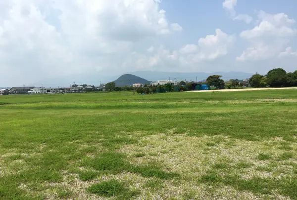 藤原宮跡の写真・動画_image_345096