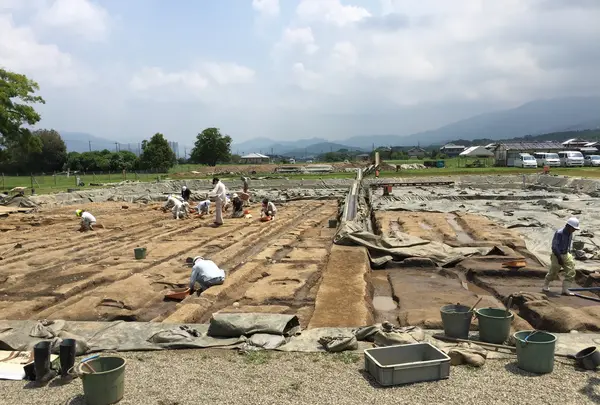 藤原宮跡の写真・動画_image_345097