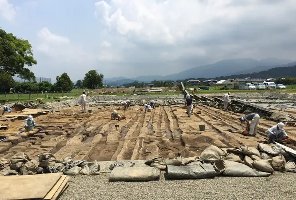 藤原宮跡の写真・動画_image_345098