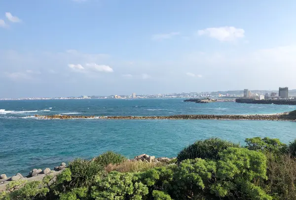 宜野湾市立野球場の写真・動画_image_345279