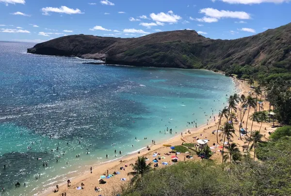 ハナウマ・ベイの写真・動画_image_345411