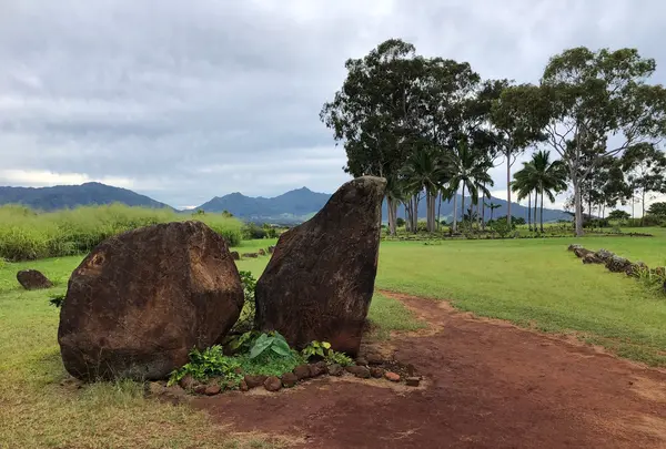 クカニロコ・バーシング・ストーンズの写真・動画_image_345419