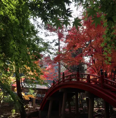 今高野山龍華寺の写真・動画_image_345968