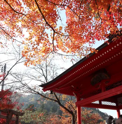 今高野山龍華寺の写真・動画_image_345969