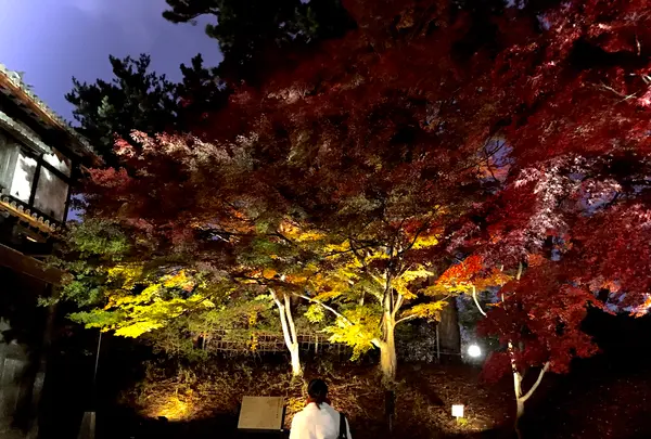 弘前城の写真・動画_image_345982