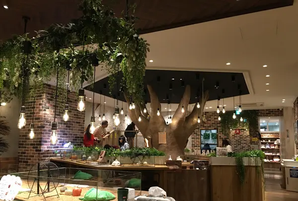 ハリネズミカフェ　HARRY 横浜中華街店の写真・動画_image_346553