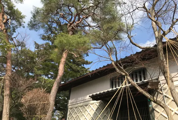 兼六園の写真・動画_image_346711