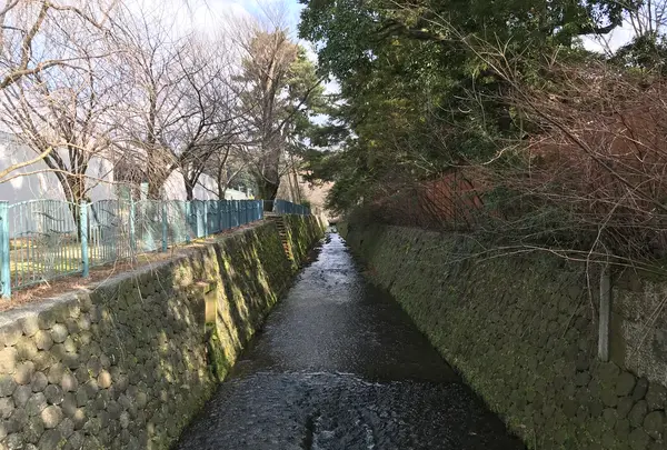 兼六園の写真・動画_image_346716