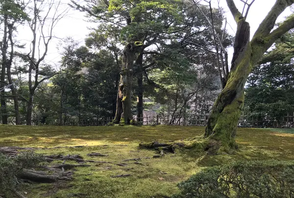 兼六園の写真・動画_image_346730