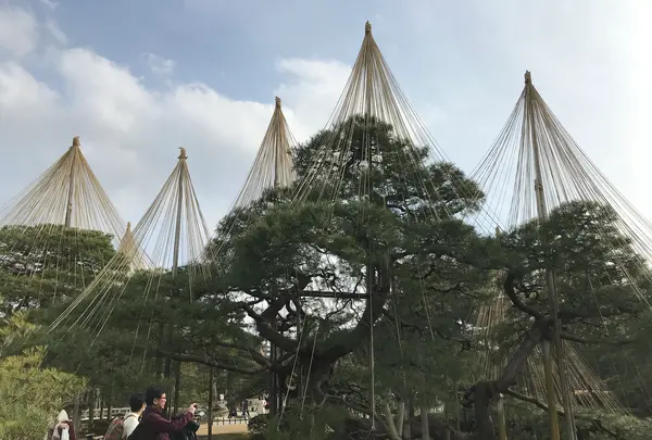 兼六園の写真・動画_image_346735