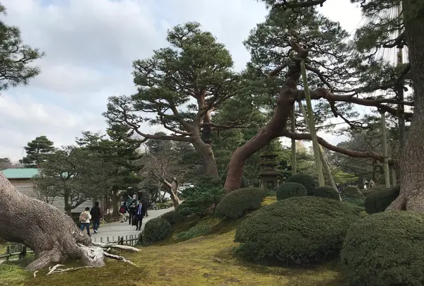 兼六園の写真・動画_image_346744