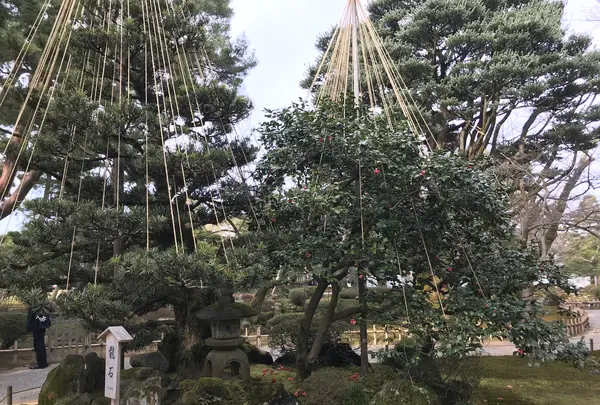 兼六園の写真・動画_image_346751