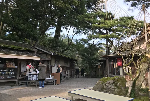 兼六園の写真・動画_image_346756