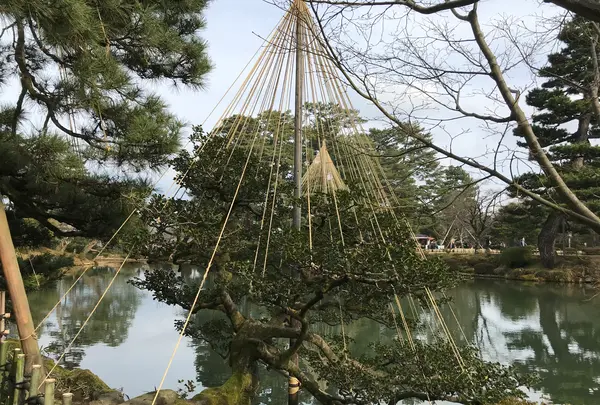 兼六園の写真・動画_image_346757