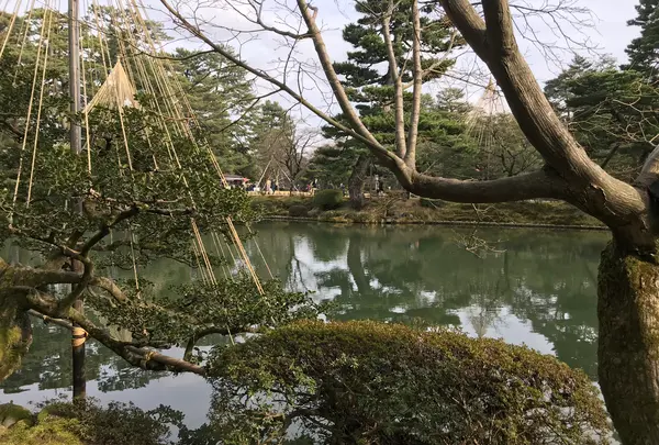 兼六園の写真・動画_image_346758